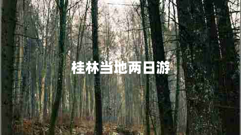 桂林當(dāng)?shù)貎扇沼? title=