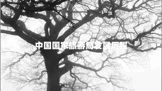 中國國家旅游局發(fā)展歷程