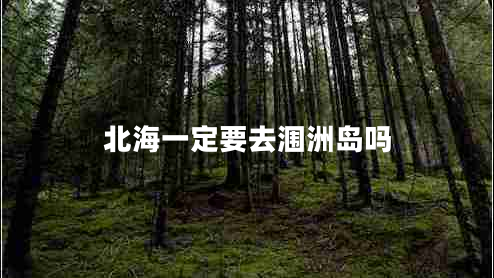 北海一定要去潿洲島嗎 北海一定要去潿洲島嗎