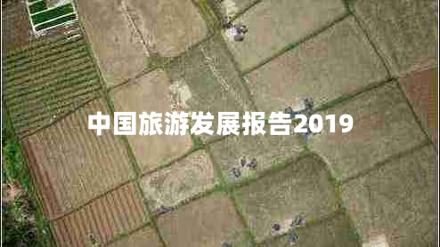 中國旅游發(fā)展報告2019 中國旅游發(fā)展報告2019
