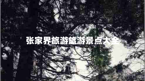 張家界旅游旅游景點(diǎn)大全