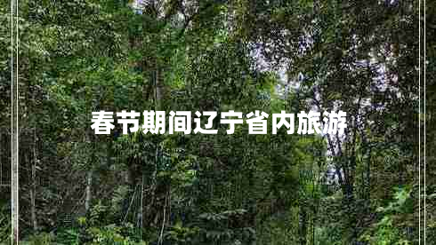 春節(jié)期間遼寧省內(nèi)旅游