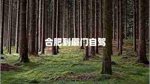 合肥到廈門自駕 合肥到廈門自駕