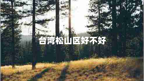 臺灣松山區(qū)好不好 臺灣松山區(qū)好不好