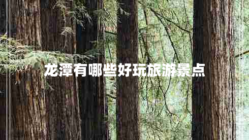 龍?zhí)队心男┖猛媛糜尉包c(diǎn)