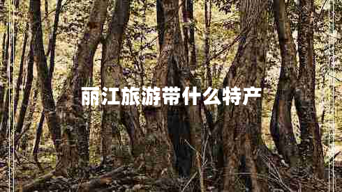 麗江旅游帶什么特產(chǎn)