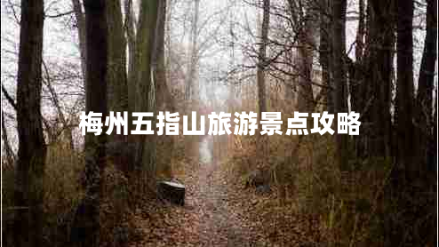 梅州五指山旅游景點(diǎn)攻略