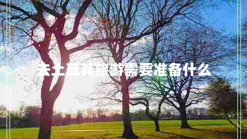 去土耳其旅游需要準(zhǔn)備什么