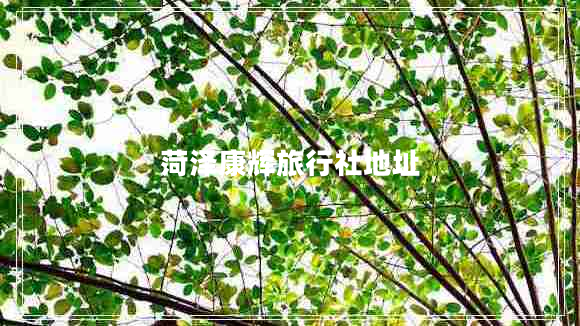 菏澤康輝旅行社地址 菏澤康輝旅行社地址