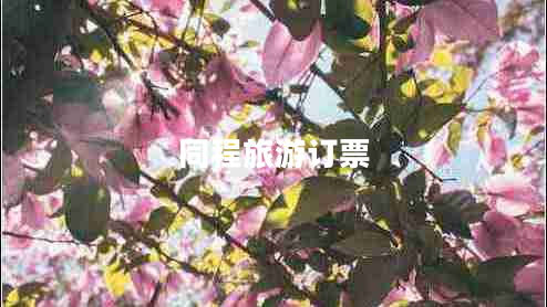 同程旅游訂票