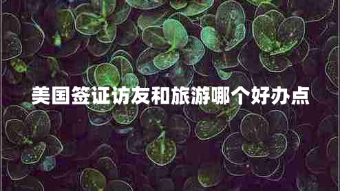 美國(guó)簽證訪友和旅游哪個(gè)好辦點(diǎn) 美國(guó)簽證訪友和旅游哪個(gè)好辦點(diǎn)