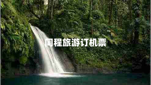 同程旅游訂機(jī)票