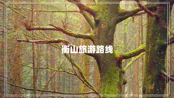 衡山旅游路線 衡山旅游路線