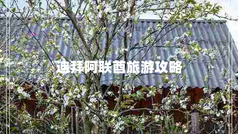 迪拜阿聯(lián)酋旅游攻略 迪拜阿聯(lián)酋旅游攻略