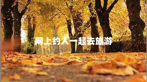 網(wǎng)上約人一起去旅游