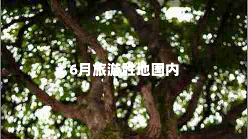 6月旅游勝地國內(nèi)