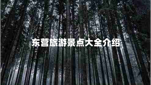 東營旅游景點大全介紹 東營旅游景點大全介紹