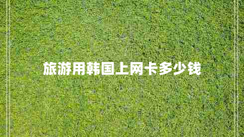 旅游用韓國上網(wǎng)卡多少錢 旅游用韓國上網(wǎng)卡多少錢