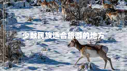少數(shù)民族適合旅游的地方 少數(shù)民族適合旅游的地方