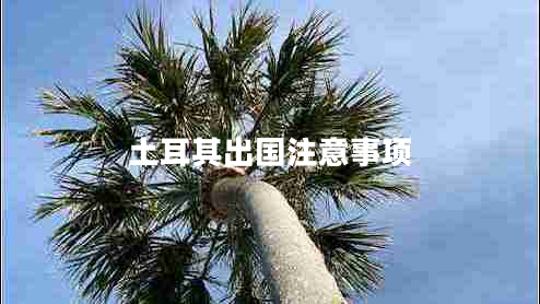 土耳其出國注意事項