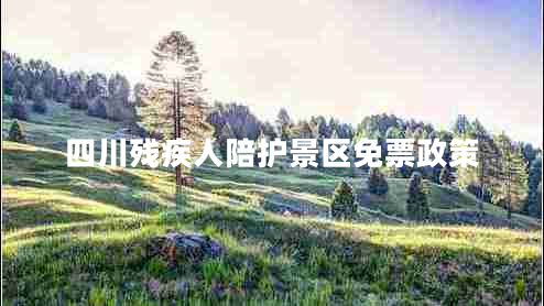 四川殘疾人陪護景區(qū)免票政策 四川殘疾人陪護景區(qū)免票政策