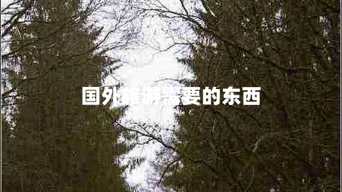 國(guó)外旅游需要的東西