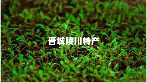 晉城陵川特產(chǎn) 晉城陵川特產(chǎn)