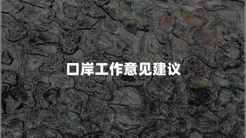 口岸工作意見(jiàn)建議