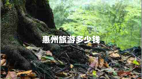 惠州旅游多少錢 惠州旅游多少錢