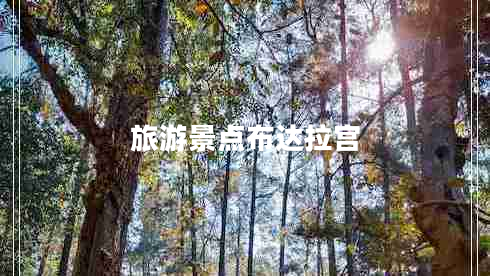 旅游景點(diǎn)布達(dá)拉宮