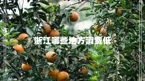 浙江哪些地方消費(fèi)低 浙江哪些地方消費(fèi)低