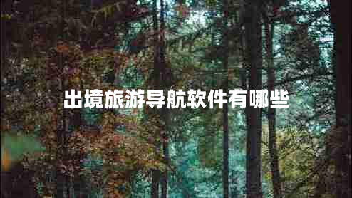 出境旅游導(dǎo)航軟件有哪些