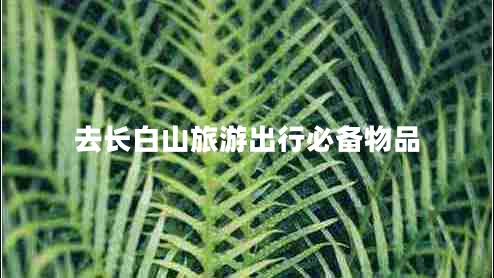 去長白山旅游出行必備物品 去長白山旅游出行必備物品