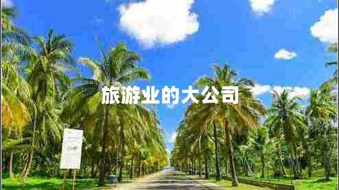 旅游業(yè)的大公司