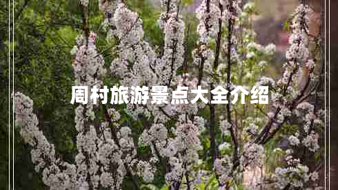周村旅游景點(diǎn)大全介紹 周村旅游景點(diǎn)大全介紹