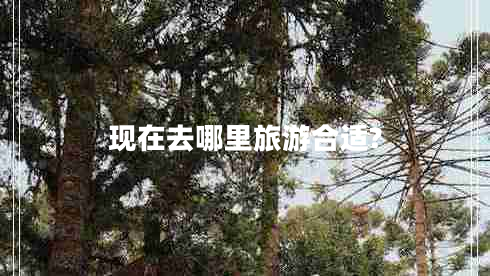 現(xiàn)在去哪里旅游合適? 現(xiàn)在去哪里旅游合適?