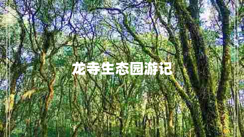 龍寺生態(tài)園游記