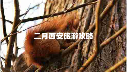 二月西安旅游攻略