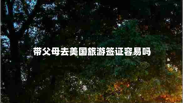 帶父母去美國旅游簽證容易嗎 帶父母去美國旅游簽證容易嗎