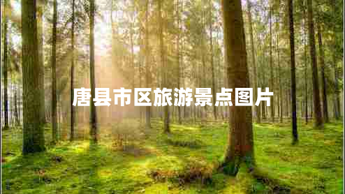 唐縣市區(qū)旅游景點圖片