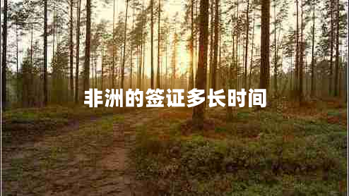 非洲的簽證多長(zhǎng)時(shí)間