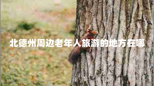 北德州周邊老年人旅游的地方在哪