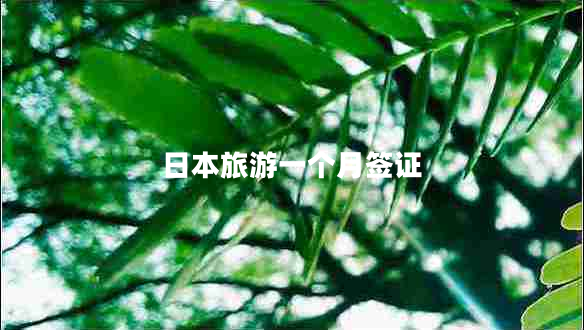 日本旅游一個月簽證