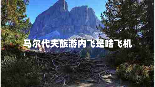 馬爾代夫旅游內(nèi)飛是啥飛機(jī) 馬爾代夫旅游內(nèi)飛是啥飛機(jī)