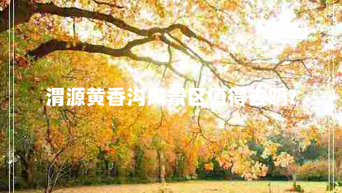 渭源黃香溝風(fēng)景區(qū)值得去嗎? 渭源黃香溝風(fēng)景區(qū)值得去嗎?