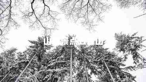 山西景點(diǎn)五臺山 山西景點(diǎn)五臺山