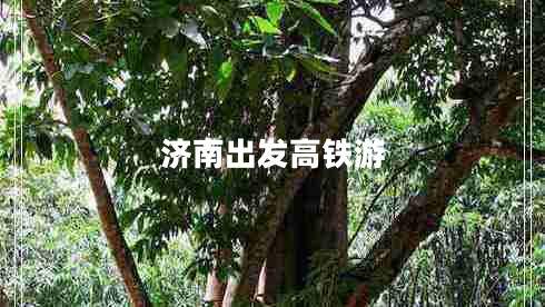 濟(jì)南出發(fā)高鐵游