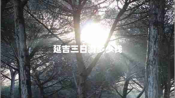 延吉三日游多少錢 延吉三日游多少錢