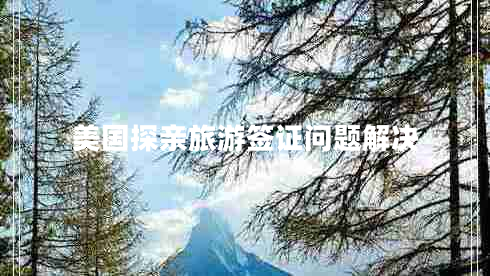 美國探親旅游簽證問題解決