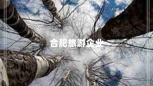 合肥旅游企業(yè) 合肥旅游企業(yè)